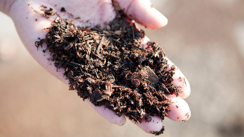 バイオワース株式会社は土壌改良材「カタツムリ」の会社です